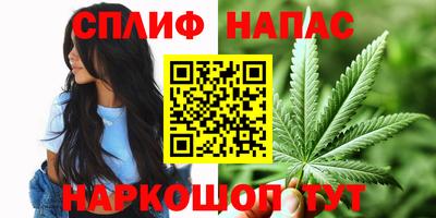 ECSTASY Заводоуковск