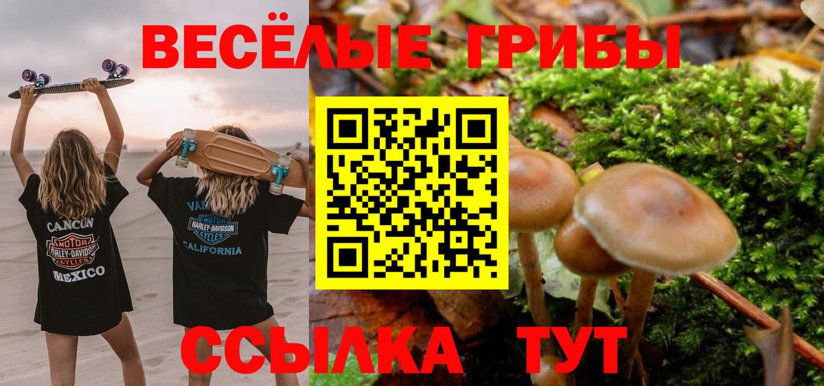 Псилоцибиновые грибы мухоморы  Галлюциногенные грибы мухоморы  Вход с VPN  Магадан 